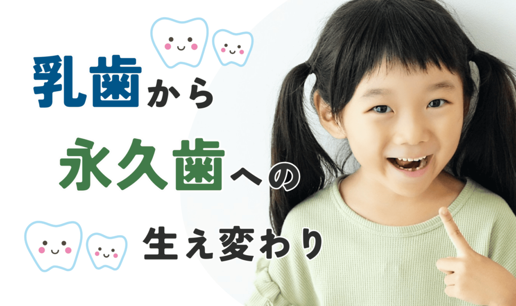 乳歯から永久歯への生え変わり | 『ことまま』は奈良県を中心に子育て