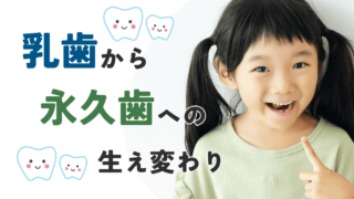 乳歯から永久歯への生え変わり | 『ことまま』は奈良県を中心に子育て
